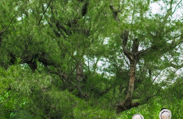 Tham khảo ngay những giai đoạn chuẩn bị đám cưới QUAN TRỌNG cho đám cưới hoàn hảo nhất